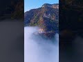 Autumn Sea of Clouds is Insane! #travel#naturetherapy #Healing & Relaxing