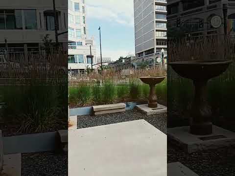 🌳Downtown Boise Idaho #moving to Boise Idaho, #shortsfeed, #living in Idaho,