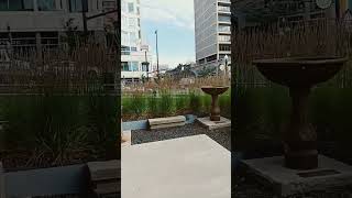 🌳Downtown Boise Idaho #moving to Boise Idaho, #shortsfeed, #living in Idaho,
