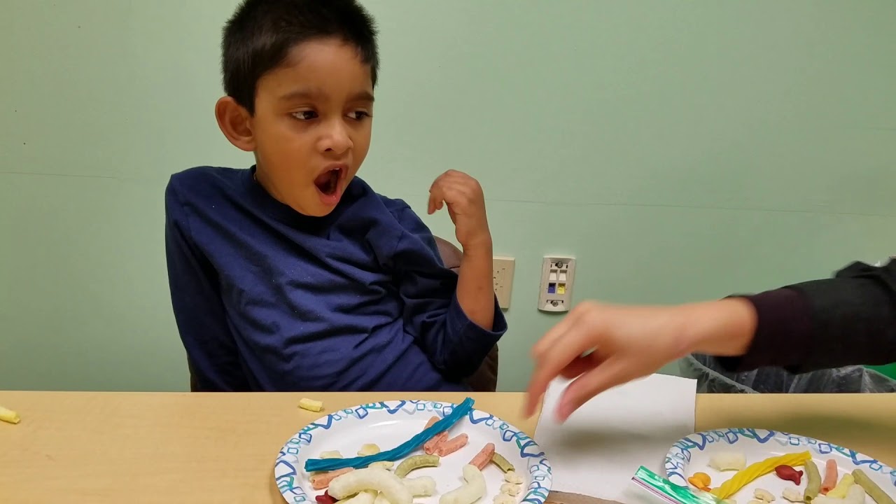 Autism Severe Food Aversion Just Touch and Hold Soilds in Lips Stage