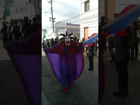 Video: Ponsės karnavalas Puerto Rike