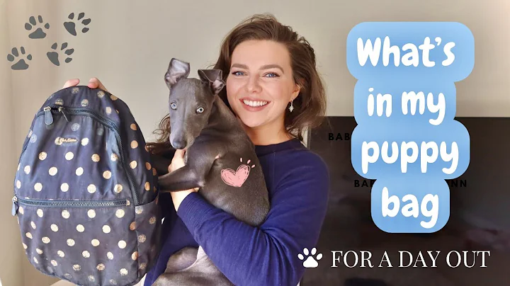 WHAT'S IN MY PUPPY BAG / DOG BAG FOR DAYS OUT | CHLOE MURPHY