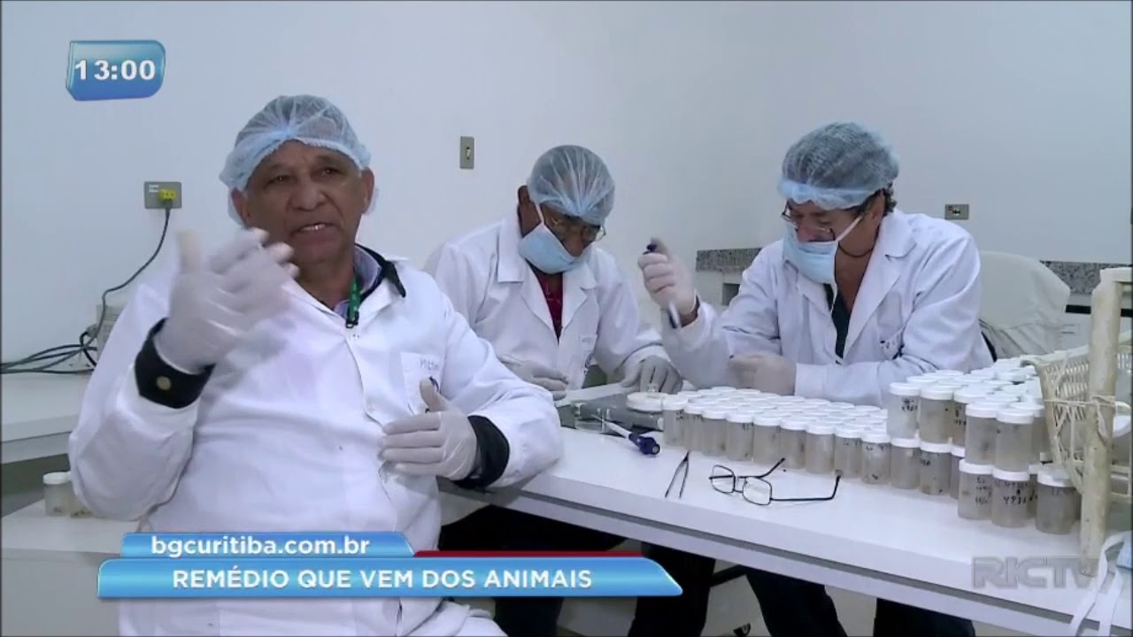 Balanço Geral acompanha processo de fabricação de soro para picadas de animais peçonhentos