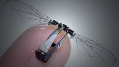 U.S. Air Force Micro Air Vehicles