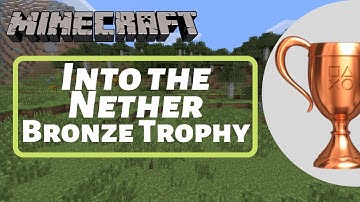 Minecraft - Into The Nether