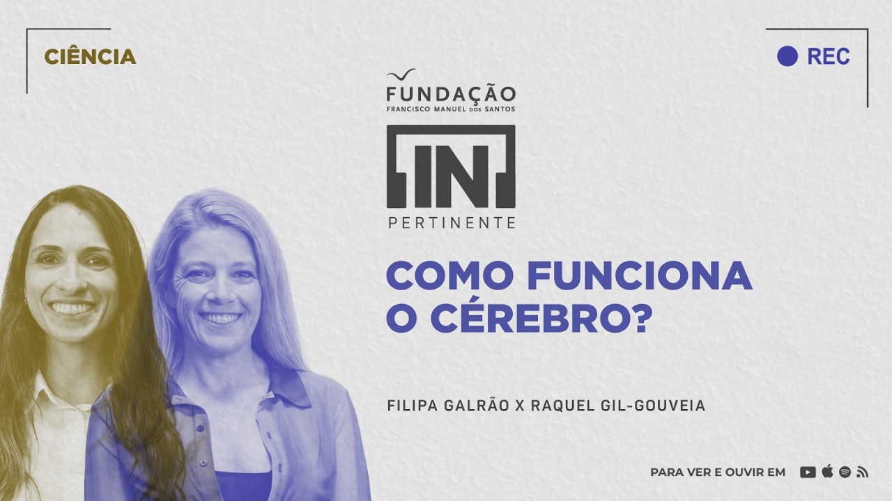 [IN]Pertinente Ciência: Como funciona o cérebro?