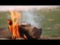 شيلة جعل من شب المناره ما يضامي HD شيلة جعل من شب المناره ما يضامي HD