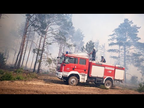 BRANDENBURG: Hitzewelle in Deutschland! Brand in einem munitionsverseuchtem Wald bei Treuenbrietzen