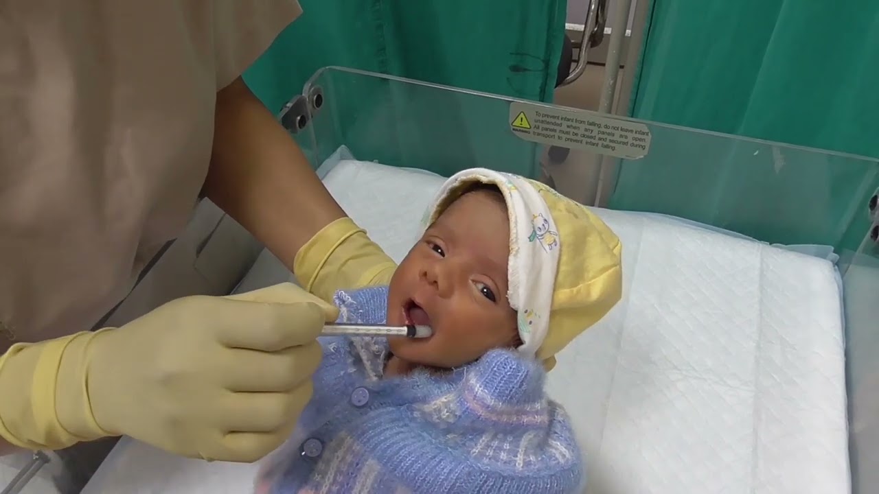 Colostrum application