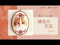 羊毛リアル猫の作り方　lesson５：植毛の方法