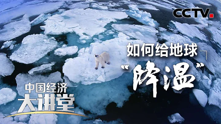 南極北極罕見高溫！如何給地球降溫？全球變暖會給大自然和人類生存帶來怎樣的影響？「中國經濟大講堂」 20220424 | CCTV財經 - 天天要聞