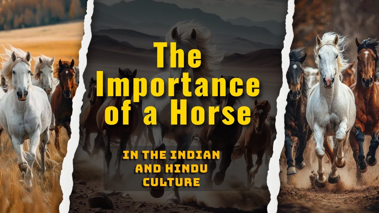 The Importance Of A Horse In The Indian And Hindu Culture Www Jothishi Com Youtube