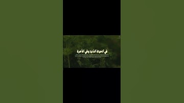 يثبت الله الذين آمنوا بالقول الثابت في الحياة الدنيا وفي الآخرة | محمد صديق المنشاوي | سورة إبراهيم