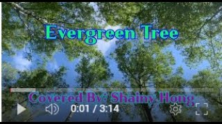 Video thumbnail of "EVER GREEN TREE --Covered  By  Shainy Hong--Original Singer-Perry Como"