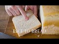 [No Music] How to make Bread out of RICE // Gluten-free