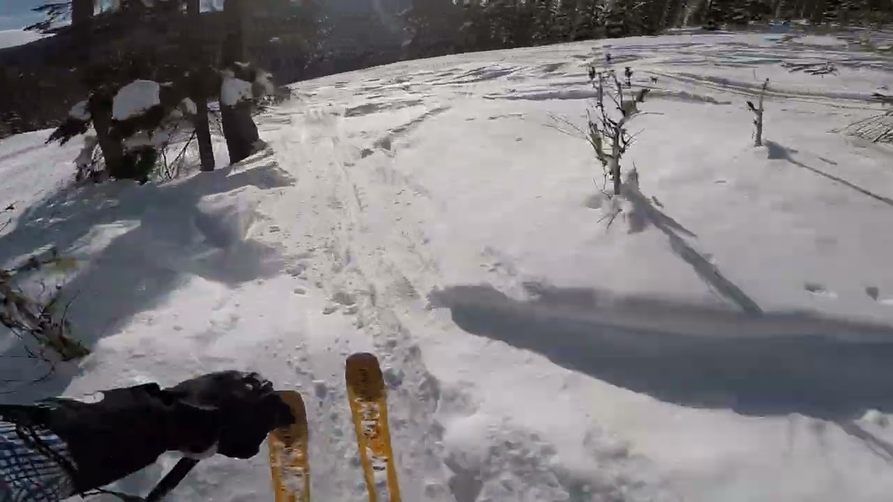 Eagle Peak and trees with Fred and friends    02 02 23