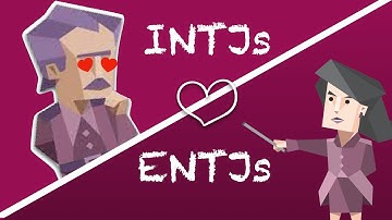 INTJs love ENTJs: Relationship and Friendship Compatibility