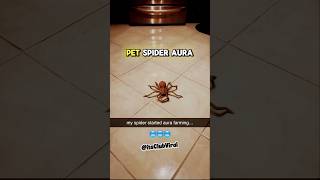 Aura Farming Pet Spider