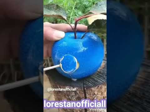 دانلود عزیزم لری بداق