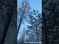 Давай поразмышляем...