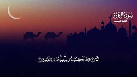 القارئ أحمد النفيس:الم ذلك الكتاب لا ريب فيه هدى للمتقين الذين يؤمنون بالغيب ويقيمون#سورة_البقرة