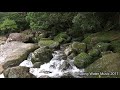 【癒し】自然音　せせらぎ　屋久島のパワースポット　横河渓谷