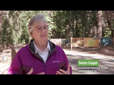 Subaru Provides New Waste Containers to Increase Recycling at Yosemite National Park