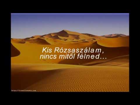 Videó: Az Eszkapisták Elszaporodnak A Sivatagi Szigetekről A Túlélők A Jövő évben