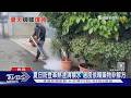 夏天蟑螂大軍入侵! 專家揭「3大躲藏點」 餌劑這樣放才有效｜十點不一樣20260715 @TVBSNEWS01