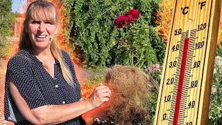 Hitzewelle 2022: GartenTIPPS - Böden FEUCHT halten trotz Superhitze +++ Gutschein-Code für -40%