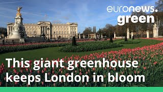 Hidden in central London is a high tech greenhouse growing thousands of plants for the city’s parks