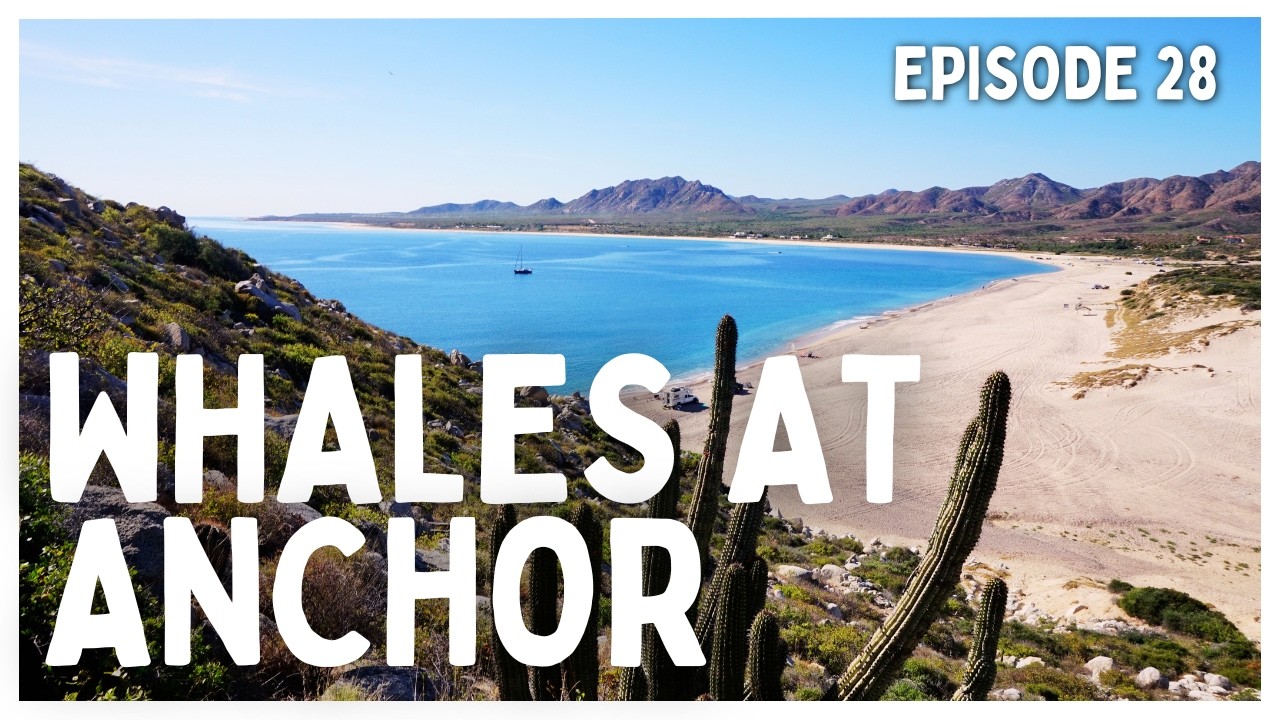 [Ep 28] Cruising Baja’s Wild Side | Whales, Reefs & Life at Anchor in Los Frailes