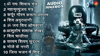 Download Lagu Somvaar Special Shiv Bhajan | Bhagvaan Shiv Bhajan | सोमवार स्पेशल शिव भजन | शिव भक्ति गीत #shiva MP3