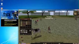 Metin2 kick hack pentru serverele private