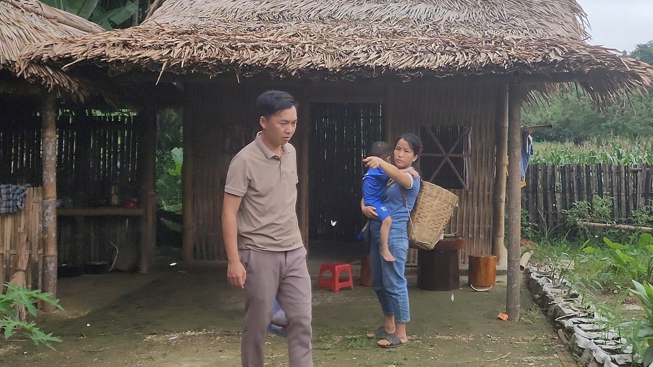 Building a life - harvesting - going to the market to buy more chickens and ducks to raise.