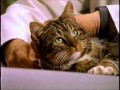 懐かしいCM キャットフード「サイエンス ダイエット」