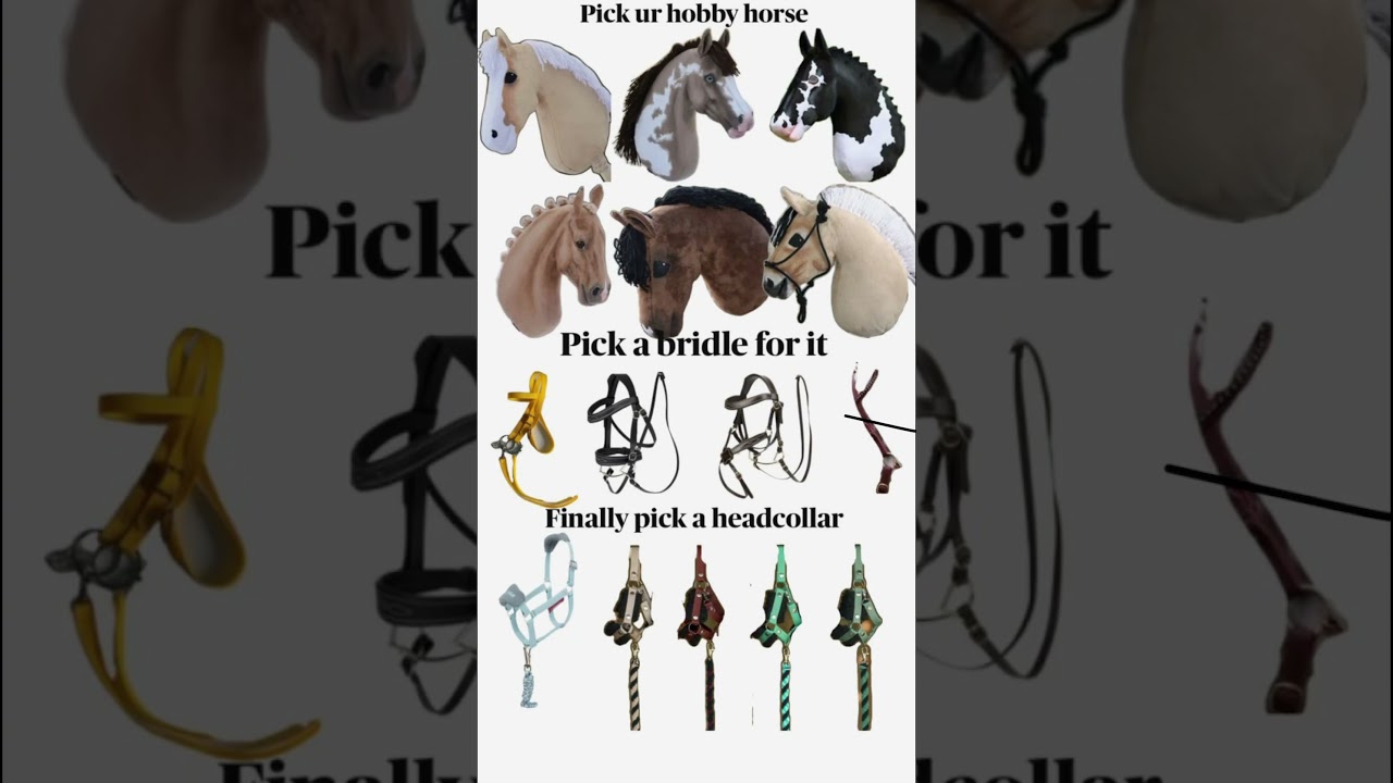 Pick your hobby horse 