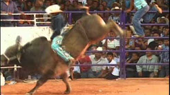 Descargar Videos De Jaripeo Youtube