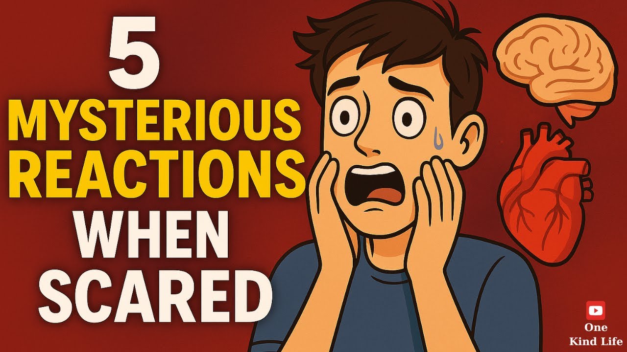 Define Scaring 5 Shocking Things Your Body Does When You’re Scared – Explained by ...