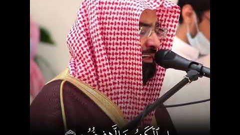 تلاوة فضيلة الشيخ ناصر القطامي