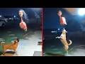 Dark and Disturbing Footage That No One Can Explain