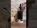 Cho Boss ăn đúng giờ với PETKIT Fresh Element Solo - petkitstore.vn