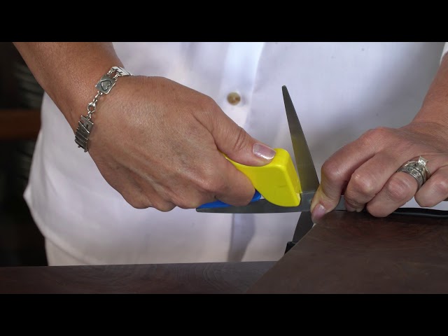  AccuSharp ShearSharp Scissors Sharpener - Sharpener