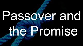 Passover and the Promise | TorahResource