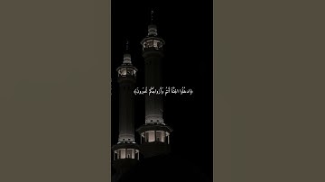 تلاوة خاشعة من سورة الزخرف ||القارئ عثمان الحداد #عثمان_الحداد #تلاوات #قرآن