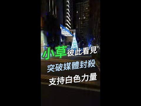 意見蒐集夜：小草需要什麼樣的灌溉？小草彼此看見、突破媒體封殺、支持白色力量、兩岸和平交流....#20240119#王尚智 #小草