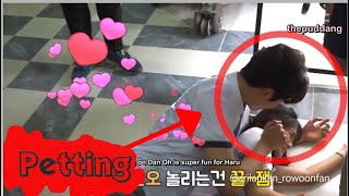 Rowoon petting Hye Yoon |#Rowoon and #HyeYoon moments |Extraordinary You Clips Resimi