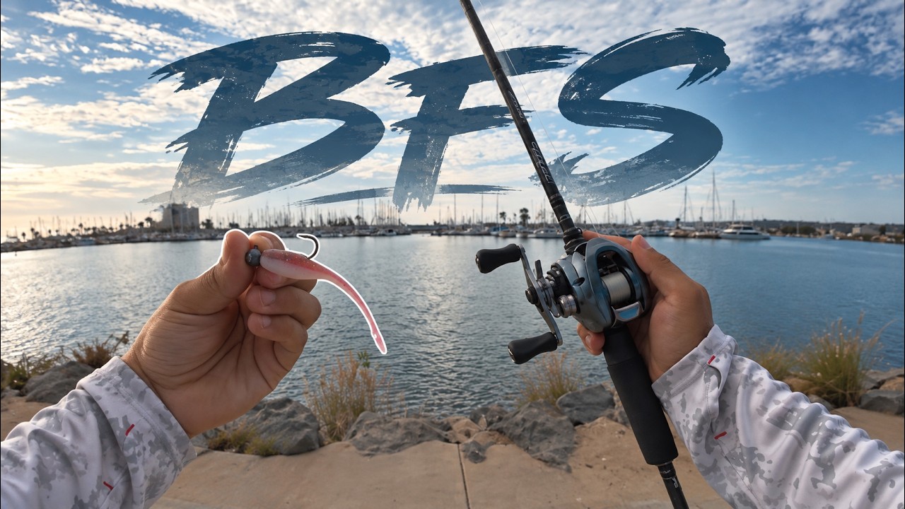Finesse Fishing for Spotted Bay Bass | Harbor Island | Spanish Landing