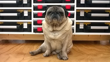 How To | Mobile Workbench | STORAGE | DIY | DAVE STANTON