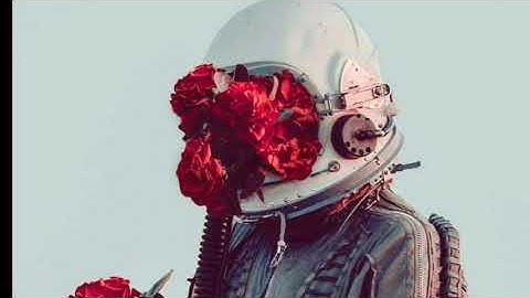 Disolve  -  Absofacto || Lyrics Sub español